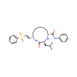 CC(C)C[C@@H]1N[C@@H](C(=O)Nc2ccccc2)CCCCC[C@@H](/C=C/S(=O)(=O)c2ccccc2)NC1=O ZINC000040859967