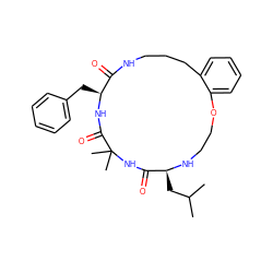 CC(C)C[C@@H]1NCCOc2ccccc2CCCNC(=O)[C@H](Cc2ccccc2)NC(=O)C(C)(C)NC1=O ZINC001772588949