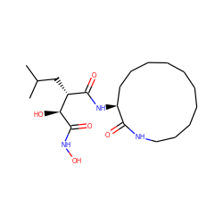 CC(C)C[C@H](C(=O)N[C@H]1CCCCCCCCCCNC1=O)[C@H](O)C(=O)NO ZINC000028564446