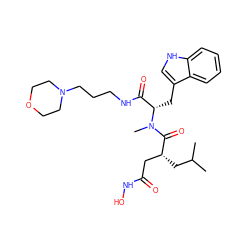 CC(C)C[C@H](CC(=O)NO)C(=O)N(C)[C@@H](Cc1c[nH]c2ccccc12)C(=O)NCCCN1CCOCC1 ZINC000013776869