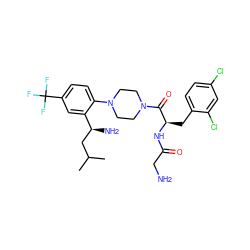 CC(C)C[C@H](N)c1cc(C(F)(F)F)ccc1N1CCN(C(=O)[C@@H](Cc2ccc(Cl)cc2Cl)NC(=O)CN)CC1 ZINC000028825737