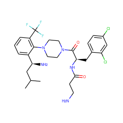 CC(C)C[C@H](N)c1cccc(C(F)(F)F)c1N1CCN(C(=O)[C@@H](Cc2ccc(Cl)cc2Cl)NC(=O)CCN)CC1 ZINC000028825746