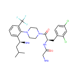 CC(C)C[C@H](N)c1cccc(C(F)(F)F)c1N1CCN(C(=O)[C@@H](Cc2ccc(Cl)cc2Cl)NC(=O)CN)CC1 ZINC000028825744