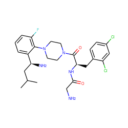 CC(C)C[C@H](N)c1cccc(F)c1N1CCN(C(=O)[C@@H](Cc2ccc(Cl)cc2Cl)NC(=O)CN)CC1 ZINC000028825750