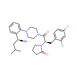 CC(C)C[C@H](N)c1ccccc1N1CCN(C(=O)[C@@H](Cc2ccc(Cl)cc2Cl)N2CCCC2=O)CC1 ZINC000028823888