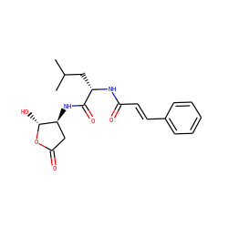 CC(C)C[C@H](NC(=O)/C=C/c1ccccc1)C(=O)N[C@H]1CC(=O)O[C@@H]1O ZINC000026746068