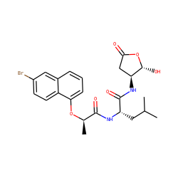 CC(C)C[C@H](NC(=O)[C@@H](C)Oc1cccc2cc(Br)ccc12)C(=O)N[C@H]1CC(=O)O[C@@H]1O ZINC000013819087