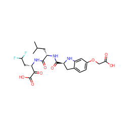 CC(C)C[C@H](NC(=O)[C@@H]1Cc2ccc(OCC(=O)O)cc2N1)C(=O)N[C@@H](CC(F)F)C(=O)C(=O)O ZINC000013586366