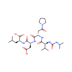 CC(C)C[C@H](NC(=O)[C@H](CC(=O)O)NC(=O)[C@H](CC(=O)N1CCCC1)NC(=O)[C@@H](NC(=O)NC(C)C)C(C)C)C(=O)O ZINC000026289508