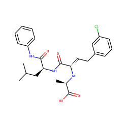 CC(C)C[C@H](NC(=O)[C@H](CCc1cccc(Cl)c1)N[C@H](C)C(=O)O)C(=O)Nc1ccccc1 ZINC000026493893