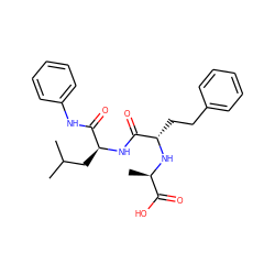 CC(C)C[C@H](NC(=O)[C@H](CCc1ccccc1)N[C@H](C)C(=O)O)C(=O)Nc1ccccc1 ZINC000003785891