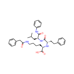 CC(C)C[C@H](NC(=O)[C@H](CCc1ccccc1)N[C@H](CCCCNC(=O)Cc1ccccc1)C(=O)O)C(=O)Nc1ccccc1 ZINC000026983137