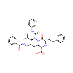 CC(C)C[C@H](NC(=O)[C@H](CCc1ccccc1)N[C@H](CCCCNC(=O)c1ccccc1)C(=O)O)C(=O)Nc1ccccc1 ZINC000026984634