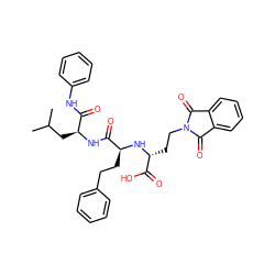 CC(C)C[C@H](NC(=O)[C@H](CCc1ccccc1)N[C@H](CCN1C(=O)c2ccccc2C1=O)C(=O)O)C(=O)Nc1ccccc1 ZINC000026987365