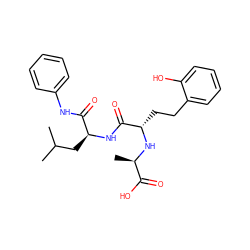 CC(C)C[C@H](NC(=O)[C@H](CCc1ccccc1O)N[C@H](C)C(=O)O)C(=O)Nc1ccccc1 ZINC000026492673