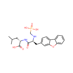 CC(C)C[C@H](NC(=O)[C@H](Cc1ccc2c(c1)oc1ccccc12)NCP(=O)(O)O)C(=O)O ZINC000013805019