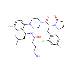 CC(C)C[C@H](NC(=O)CCCN)c1cc(F)ccc1N1CCN(C(=O)[C@@H](Cc2ccc(Cl)cc2Cl)N2CCCC2=O)CC1 ZINC000028823933