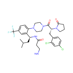 CC(C)C[C@H](NC(=O)CCN)c1cc(C(F)(F)F)ccc1N1CCN(C(=O)[C@@H](Cc2ccc(Cl)cc2Cl)N2CCCC2=O)CC1 ZINC000028823928