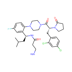 CC(C)C[C@H](NC(=O)CCN)c1cc(F)ccc1N1CCN(C(=O)[C@@H](Cc2ccc(Cl)cc2Cl)N2CCCC2=O)CC1 ZINC000028823927