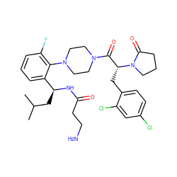 CC(C)C[C@H](NC(=O)CCN)c1cccc(F)c1N1CCN(C(=O)[C@@H](Cc2ccc(Cl)cc2Cl)N2CCCC2=O)CC1 ZINC000028823926