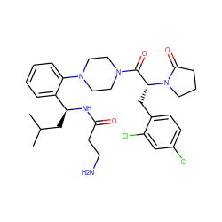 CC(C)C[C@H](NC(=O)CCN)c1ccccc1N1CCN(C(=O)[C@@H](Cc2ccc(Cl)cc2Cl)N2CCCC2=O)CC1 ZINC000028823925