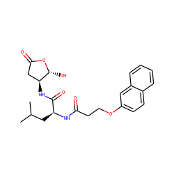 CC(C)C[C@H](NC(=O)CCOc1ccc2ccccc2c1)C(=O)N[C@H]1CC(=O)O[C@@H]1O ZINC000013819129
