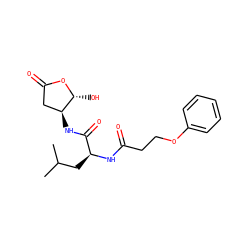 CC(C)C[C@H](NC(=O)CCOc1ccccc1)C(=O)N[C@H]1CC(=O)O[C@@H]1O ZINC000013819195