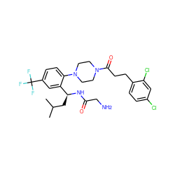 CC(C)C[C@H](NC(=O)CN)c1cc(C(F)(F)F)ccc1N1CCN(C(=O)CCc2ccc(Cl)cc2Cl)CC1 ZINC000036285416