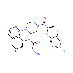 CC(C)C[C@H](NC(=O)CN)c1cccnc1N1CCN(C(=O)[C@@H](C)Cc2ccc(Cl)cc2Cl)CC1 ZINC000028826804