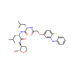 CC(C)C[C@H](NC(=O)COc1ccc2c(c1)Nc1ccccc1S2)C(=O)N[C@@H](CC(C)C)C(=O)N[C@H]1CCO[C@@H]1O ZINC000028571721