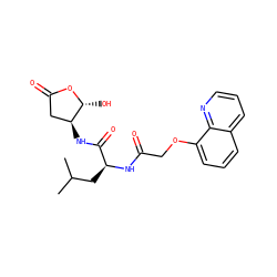 CC(C)C[C@H](NC(=O)COc1cccc2cccnc12)C(=O)N[C@H]1CC(=O)O[C@@H]1O ZINC000013819186