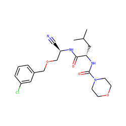 CC(C)C[C@H](NC(=O)N1CCOCC1)C(=O)N[C@H](C#N)COCc1cccc(Cl)c1 ZINC000013492524