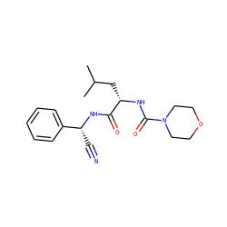 CC(C)C[C@H](NC(=O)N1CCOCC1)C(=O)N[C@H](C#N)c1ccccc1 ZINC000013492518