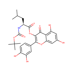 CC(C)C[C@H](NC(=O)OC(C)(C)C)C(=O)Oc1c(-c2ccc(O)c(O)c2)oc2cc(O)cc(O)c2c1=O ZINC000042990115