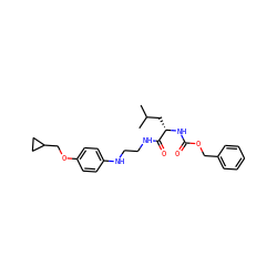 CC(C)C[C@H](NC(=O)OCc1ccccc1)C(=O)NCCNc1ccc(OCC2CC2)cc1 ZINC000013490286