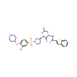 CC(C)C[C@H](NC(=O)c1cc2ccccc2s1)C(=O)N[C@H]1CCN(S(=O)(=O)c2ccc(OC3CCNCC3)c(Br)c2)C1 ZINC000049898324