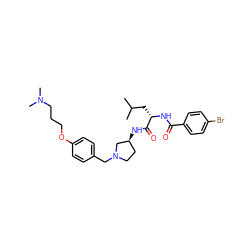 CC(C)C[C@H](NC(=O)c1ccc(Br)cc1)C(=O)N[C@H]1CCN(Cc2ccc(OCCCN(C)C)cc2)C1 ZINC000028476108