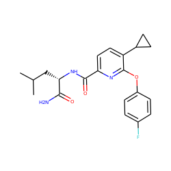 CC(C)C[C@H](NC(=O)c1ccc(C2CC2)c(Oc2ccc(F)cc2)n1)C(N)=O ZINC000207734684