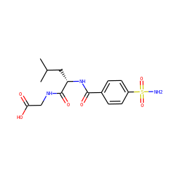 CC(C)C[C@H](NC(=O)c1ccc(S(N)(=O)=O)cc1)C(=O)NCC(=O)O ZINC000029473769