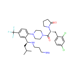 CC(C)C[C@H](NCCCN)c1cc(C(F)(F)F)ccc1N1CCN(C(=O)[C@@H](Cc2ccc(Cl)cc2Cl)N2CCCC2=O)CC1 ZINC000028823907