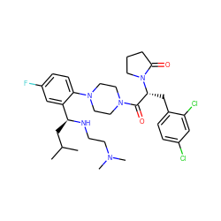 CC(C)C[C@H](NCCN(C)C)c1cc(F)ccc1N1CCN(C(=O)[C@@H](Cc2ccc(Cl)cc2Cl)N2CCCC2=O)CC1 ZINC000028823903