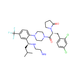 CC(C)C[C@H](NCCN)c1cc(C(F)(F)F)ccc1N1CCN(C(=O)[C@@H](Cc2ccc(Cl)cc2Cl)N2CCCC2=O)CC1 ZINC000028823899