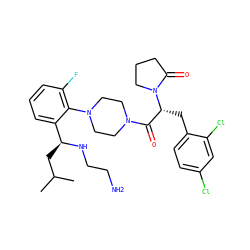 CC(C)C[C@H](NCCN)c1cccc(F)c1N1CCN(C(=O)[C@@H](Cc2ccc(Cl)cc2Cl)N2CCCC2=O)CC1 ZINC000028823897