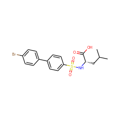 CC(C)C[C@H](NS(=O)(=O)c1ccc(-c2ccc(Br)cc2)cc1)C(=O)O ZINC000013803846