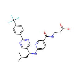 CC(C)C[C@H](Nc1ccc(C(=O)NCCC(=O)O)cn1)c1cnc(-c2ccc(C(F)(F)F)cc2)nc1 ZINC000200439240