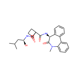 CC(C)C[C@H](O)NC(=O)C1(C(=O)N[C@@H]2C(=O)N(C)c3ccccc3-c3ccccc32)CCC1 ZINC000028822959