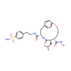 CC(C)C[C@H]1C(=O)N[C@H](C(=O)NCCc2ccc(S(N)(=O)=O)cc2)Cc2ccc(cc2)OCCC[C@@H]1C(=O)NO ZINC000026638472