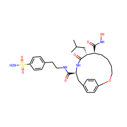 CC(C)C[C@H]1C(=O)N[C@H](C(=O)NCCc2ccc(S(N)(=O)=O)cc2)Cc2ccc(cc2)OCCCC[C@@H]1C(=O)NO ZINC000026181424