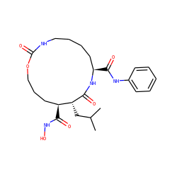 CC(C)C[C@H]1C(=O)N[C@H](C(=O)Nc2ccccc2)CCCCNC(=O)OCCC[C@@H]1C(=O)NO ZINC000026579090