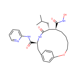 CC(C)C[C@H]1C(=O)N[C@H](C(=O)Nc2ccccn2)Cc2ccc(cc2)OCCCC[C@@H]1C(=O)NO ZINC000003821628